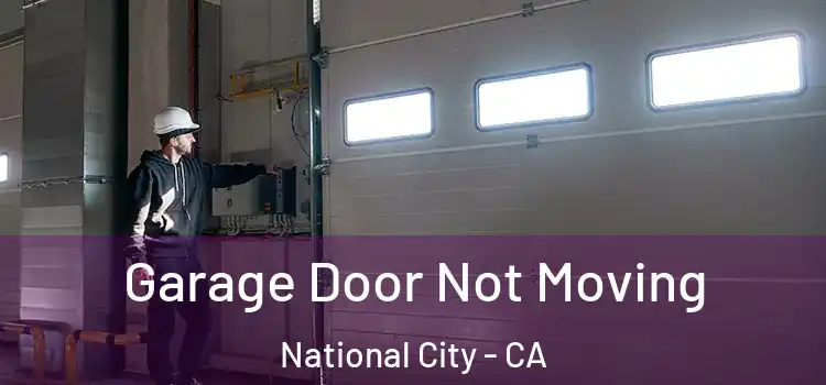  Garage Door Not Moving National City - CA
